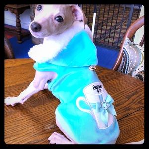 Sniffany Dog Hoodie